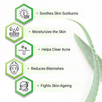 Aloe Vera Essential Skin Care Routine Kit for All Skin Types for Men & Women I Facewash + Gel Moisturizer, Soothes & Repairs Skin I Pure Aloe Vera Gel., Skin Care, Keya Seth Aromatherapy