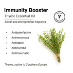 Thyme Essential Oil, Therapeutic Pure & Natural, Antimicrobe, Antiseptic, Immunity Booster, Digestive 10ml, Essential Oil, Keya Seth Aromatherapy