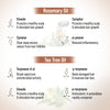 Hair Growth Oil Treatment Kit – Moisture Boost Shampoo & Alopex Long N Strong Hair Oil with Rosemary, Tea Tree, Honey & Provitamin B5 for Hydration, Strength & Hair Growth - Keya Seth Aromatherapy