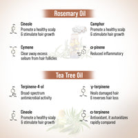 Hair Growth Oil Treatment Kit – Moisture Boost Shampoo & Alopex Long N Strong Hair Oil with Rosemary, Tea Tree, Honey & Provitamin B5 for Hydration, Strength & Hair Growth - Keya Seth Aromatherapy