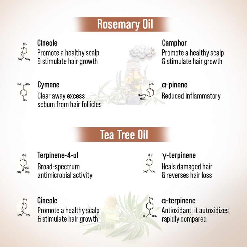 Hair Growth Oil Treatment Kit – Moisture Boost Shampoo & Alopex Long N Strong Hair Oil with Rosemary, Tea Tree, Honey & Provitamin B5 for Hydration, Strength & Hair Growth - Keya Seth Aromatherapy