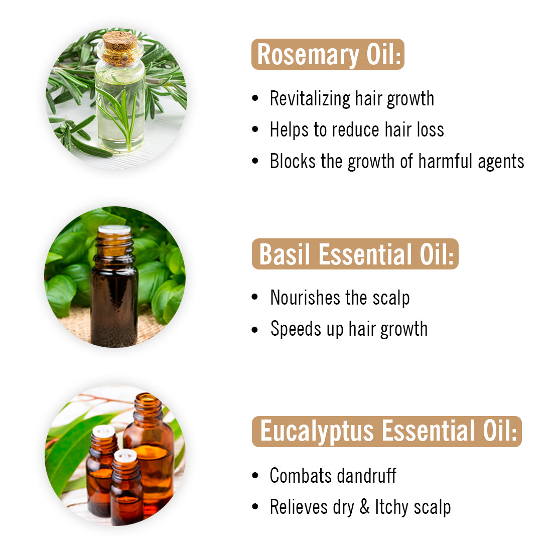 Alopex Hair Oil for Hair Nourishment || Enriched with Basil, Eucalyptus , Lemongrass, Rosemary & Lavender - Keya Seth Aromatherapy