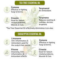 Anti Dandruff Treatment Kit–Shampoo & Solution with Salicylic, Tea Tree & Pentavitin - Keya Seth Aromatherapy