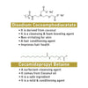 Absolute Hair Growth Serum Kit–Shampoo & Solution with Biotin, Rosemary & Ginseng - Keya Seth Aromatherapy