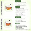 Tea Tree Essential Oil DIY Hair Growth Kit for Hair Growth, Reduces Dandruff, Soothes Scalp Itching, Deeply Moisturizes & Strengthens Roots - Keya Seth Aromatherapy
