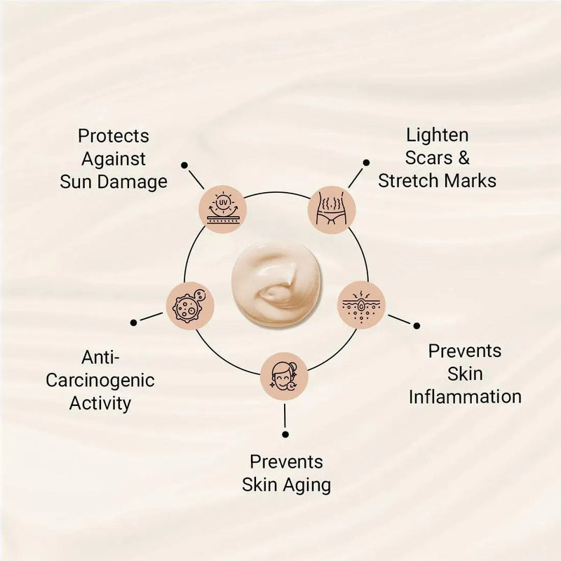 Lab Fresh Cocoa Body Butter with Almond & Coconut Oil for 24hrs Moisturization, Heals Softens Relieves Rough, Dry Skin for Men & Women All Skin Types