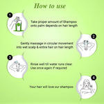Oil Balance Shampoo for Oily Scalp,Anti-Dandruff,Makes Hair Bouncy & Volume Boost for Thin Hair with Pro -Vitamin B5 & Essential of Lemon & Lavender