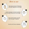 Moisture Boost Shampoo for Dry Dull Frizzy Hair- Makes Hair Shine, Soft, Smooth & Silky with Honey, Milk Protein, Pro -Vitamin B5 for Men & Women - Keya Seth Aromatherapy