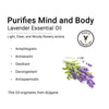 Lavender Essential Oil, Therapeutic, Pure & Natural, Stress Relief, Insomnia, Cold, Asthma, Skin & Hair Tonic 10ml