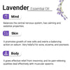 Lavender Essential Oil, Therapeutic, Pure & Natural, Stress Relief, Insomnia, Cold, Asthma, Skin & Hair Tonic 10ml