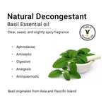 Basil Essential Oil, Therapeutic, Pure & Natural, Holy Basil (Tulsi) Spiritual Concentration, Headache, Digestive & Antiseptic 10ml