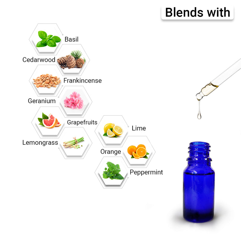 Rosemary Essential Oil Natural Therapeutic Grade, Hair Loss Control & Regrowth, Refreshing Fragrance 10ml