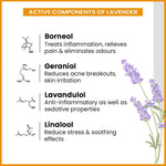 Energizing & Lavender-Rose Body Massage Oil combo pack for men & women