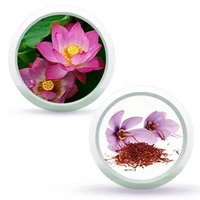 Fresh Dew Daily Face Moisturizer Quick Absorbing Non-Sticky, Flawless Skin Lotion for Normal Skin Enriched with Essential Oil - Keya Seth Aromatherapy
